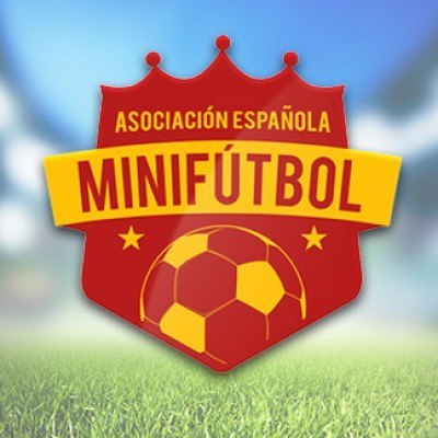 Asociacion Española de Mini Fútbol